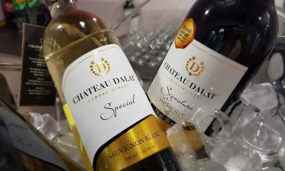 Thưởng thức Rượu Vang Chateau Dalat Special Sauvignon Blanc 750ml