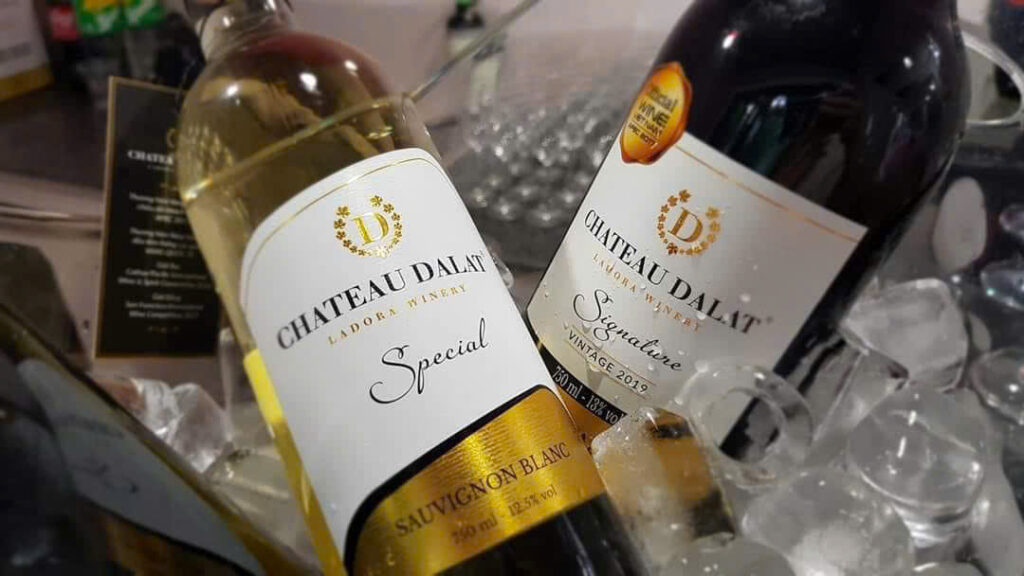 Thưởng thức Rượu Vang Chateau Dalat Special Sauvignon Blanc 750ml