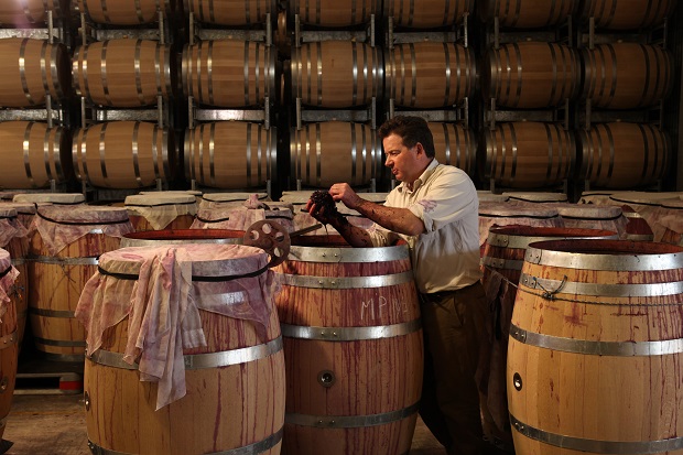 Cách làm rượu vang nho chuẩn như vang Chile | Winestore1977